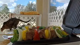 Our cats while I'm cooking kabobs own style USA