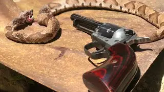 Heritage Rough Rider vs. Copperhead (CCI snake shot)