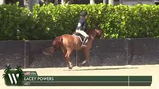 iBet Medium Pony Hunter