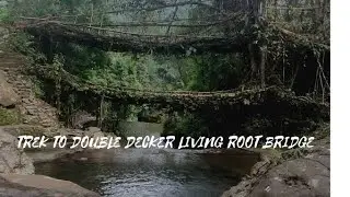 Double Decker Living Root Bridge. North-east India..#northeastindia #meghalayavlog #travel #shillong