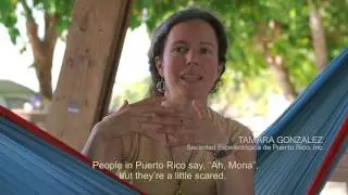 Mona, tesoro del Caribe