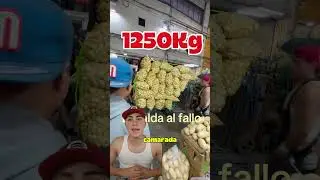 Cargando 1250KG en la ESPALDA en la CENTRAL DE ABASTOS! #centraldeabastos  #cargando #mercado