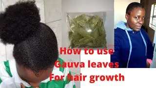 How to use guava&avocado leaves for hair growth #longhair #hairloss #dandrufftreatment #hairdamage