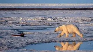 Thom Hartmann on Science & Green News: 3/28/16