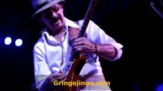 Gringo Jingo - The Ultimate Santana Tribute (Europa)