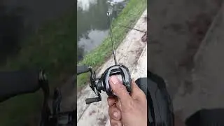 Daiwa tatula sv tw 103 xhl 2020 #castinggabusdiparitkecil #castinggabus