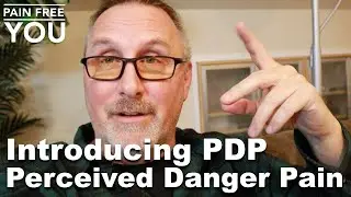Знакомство с PDP &mdash; воспринимаемой опасностью и болью