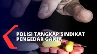 Polisi Tangkap 4 Sindikat Pengedar Ganja Antar-Provinsi