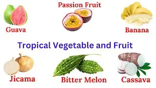 Tropical Vegetable and Fruit Names #fruit #fruits #vegetables