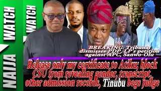 (25-9-23) BREAKING| Tinubu Beg Judge To Hide His Gender, Transcript From Atiku, Except Certificate|