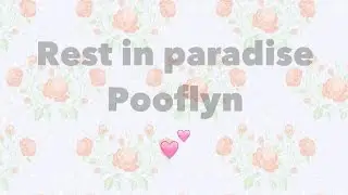 In memory of Pooflyn (Tribute)