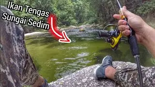 Memancing Ikan Tengas di Jeram ( Ultralight Fishing )