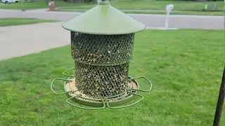 Digipettor Metal Bird Feeder for Outside Hanging