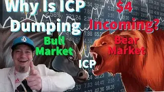 This Internet Computer ICP Support Level Shattered