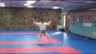 07 Yong Gae Featuring Master Park Chong Hyon