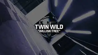Twin Wild - Willow Tree &middot;