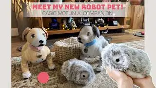 A New Robot Joins The Family 🤖🩶 CASIO Moflin Meets My Aibo's 🥰🐾