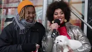 Do Puppies Lives Matter? Social Experiment #talkaboutlife