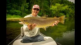 Summer Fly Fishing on the South Holston River.