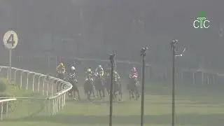 Группа GOLDEN GLOW побеждает в Кубке &laquo;Славных парней&raquo;.