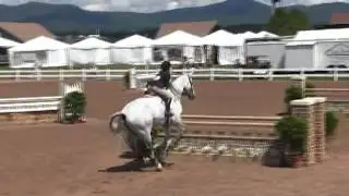 Video of ENDEAVOR CBF ridden by ALLE DURKIN from ShowNet!