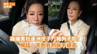 楊繡惠批蘆洲逆子「豬狗不如」！ 喊話：不判死刑說不過去@videolandnews