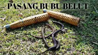 PERANGKAP / BUBU BELUT DARI ANYAMAN BAMBU || PASANG DI SUNGAI AUTO PANEN _ battlesurvival official.
