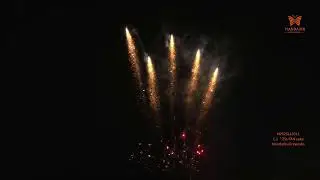 Liuyang 1.3g Un0335 Pyrotechnics Fireworks 1.2 Inch 25 Shots Professional Display Fireworks Cake