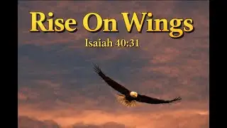 Rise On Wings - Isaiah 40:31 