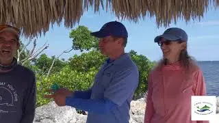 Meet the Experts - Fabien Cousteau Ocean Learning Center (Fabien Cousteau)