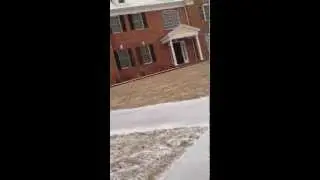 Fat cat scares the mailman in the mailbox