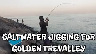 EFFECTIVE WAY TO CATCH GOLDEN TREVALLEY # JIGGING#SALT WATER JIGGING .