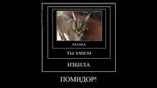 Пародия #мем #мемас #memes #ржакабот #мемы #rge #юмор #прикол #сваты6 #чудовище #мемы #прикол