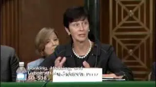20120802 BNY Peetz on Limits in the Tri party Repo Market