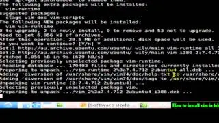 How to install vim in lubuntu