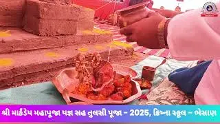 શ્રી માર્કંડેય મહાપૂજા યજ્ઞ સહ તુલસી પૂજા - 2025 | ક્રિષ્ના સ્કૂલ - ભેસાણ 🕉️#viralvideo #school 