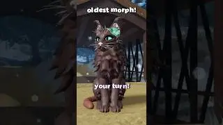 Morph Challenge! | Warrior Cats; Ultimate Edition | IB: @Splicefur
