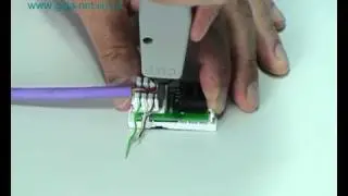 RJ45 Euro Module termination from Giganet