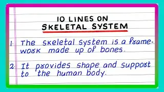 Few Lines on Skeletal System | 10 Lines on Skeletal System | about Human Skeletal System