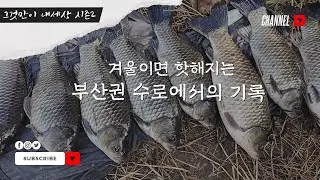 FTV 그것만이 내세상 시즌2 - 경상남도 부산 : 겨울이 되면 핫해지는 수로에서의 낚시 기록! #붕어낚시 #민물낚시 #찌올림