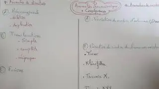 الوراثة البشرية | الشذوذات الصبغية.  Génétique humaine | anomalies chromosomiques