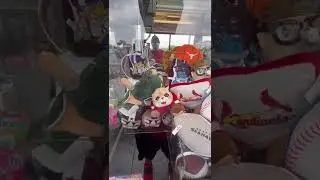 Я не могу поверить, что это произошло