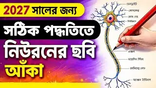  সঠিক পদ্ধতিতে নিউরনের ছবি আঁকা | Madhyamik 2026 Life Science | Neuron Diagram Class 10