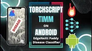 PyTorch at the Edge: Deploying Over 964 TIMM Models on Android with TorchScript and Flutter