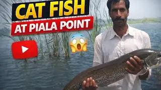FishingGiant Cat Fish at Piala Point 🔥 | Amazing FishingCat Fish Attack at Piala Point