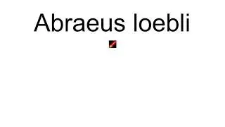 Abraeus Loebli