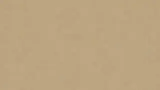 Safari Color