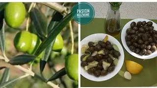Pro&ccedil;esi i p&euml;rgatitjes s&euml; ullinjve t&euml; pa b&euml;re deri n&euml; konsumim !