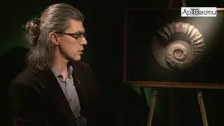 Уникальные работы - выгодное вложение и ценный подарок. Серия фотографий Андрея Акимова Окаменелости
