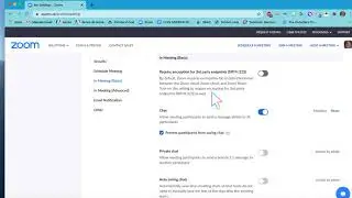 Zoom: How to Turn On Sound Notifications